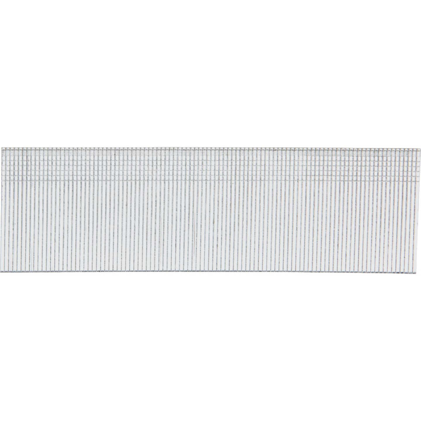 Pro-Fit 1-1/2 In. 18 Gauge Electro Galvanized Brad Nail (5000 Ct.) Image 1