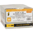 Pro-Fit 3-1/4 In. x 0.131 In. 30 Degree Paper Tape Clipped Head Smooth Shank Hot Dipped Galvanized Framing Stick Nails (2000 Ct.) Image 2