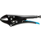 Channellock 10 In. Straight Jaw Locking Pliers Image 1