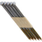 Grip-Rite 30 Degree Paper Tape Bright Clipped Head Framing Stick Nail, 3-1/2 In. x .131 In. (2000 Ct.) Image 1