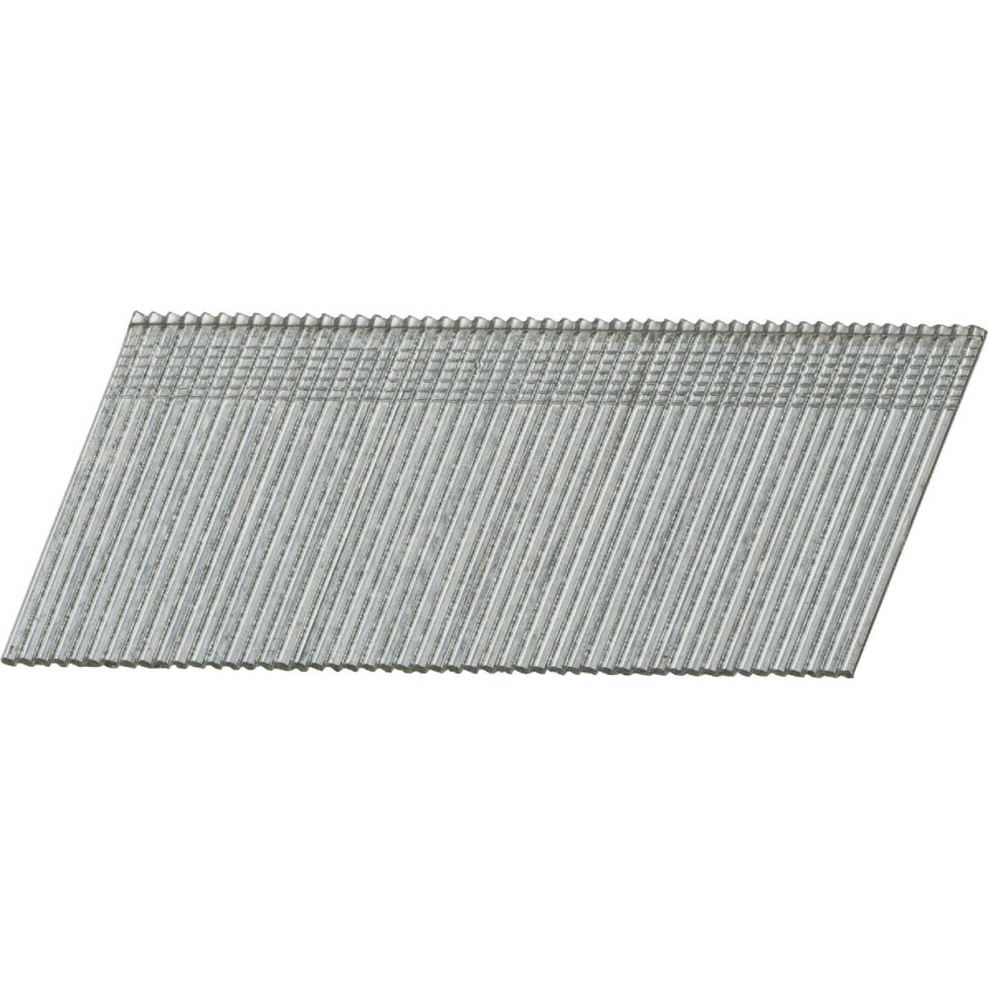 Pro-Fit 1-1/2 In. 16 Gauge Electro Galvanized 20 Degree Angled Finish Nail (2000 Ct.) Image 1