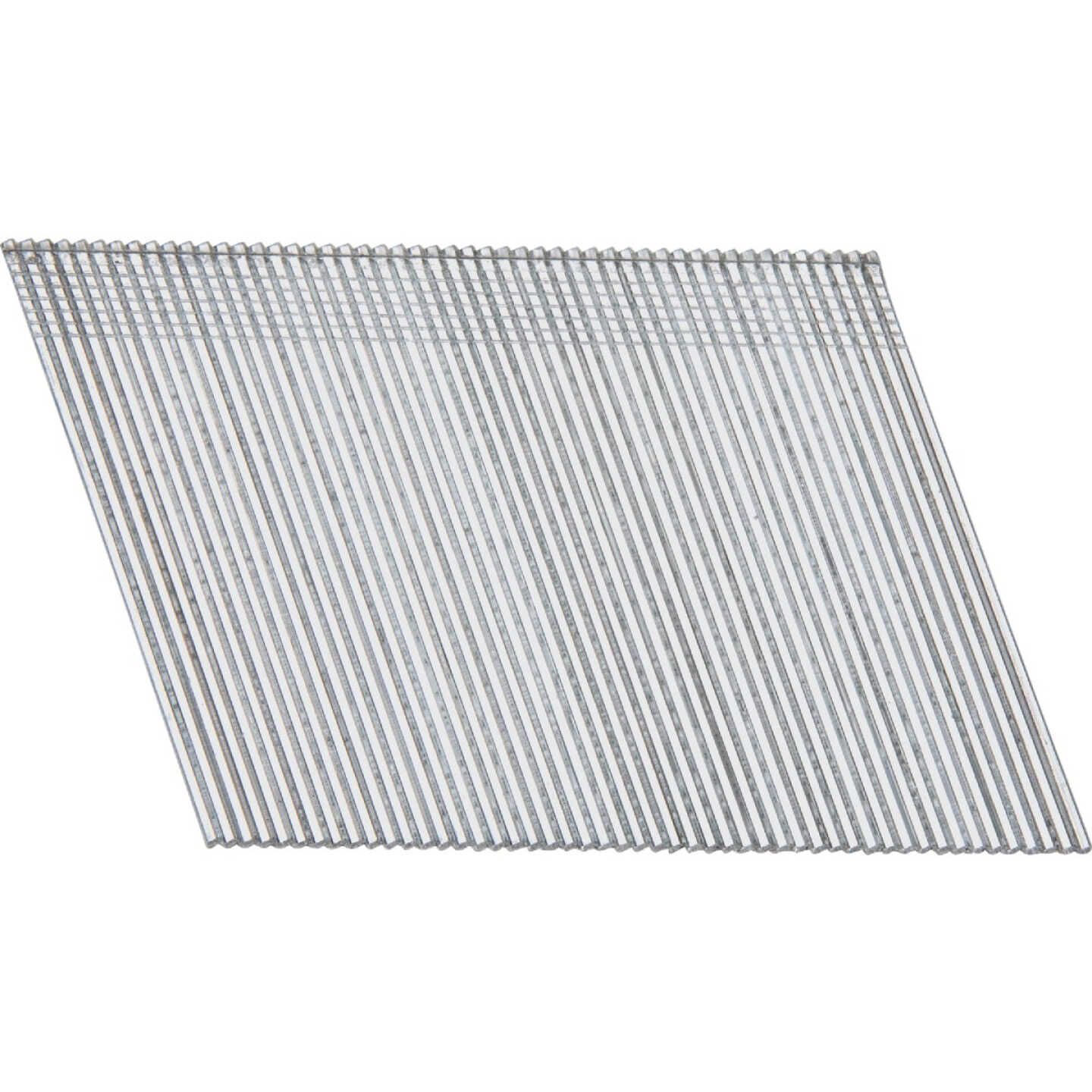 Pro-Fit 2-1/2 In. 16 Gauge Electro Galvanized 20 Degree Angled Finish Nail (2000 Ct.) Image 1