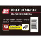 Grip-Rite No. 6 Hammer Tacker Staple, 5/16 In. (5000-Count) Image 4