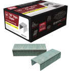 Grip-Rite No. 6 Hammer Tacker Staple, 5/16 In. (5000-Count) Image 1