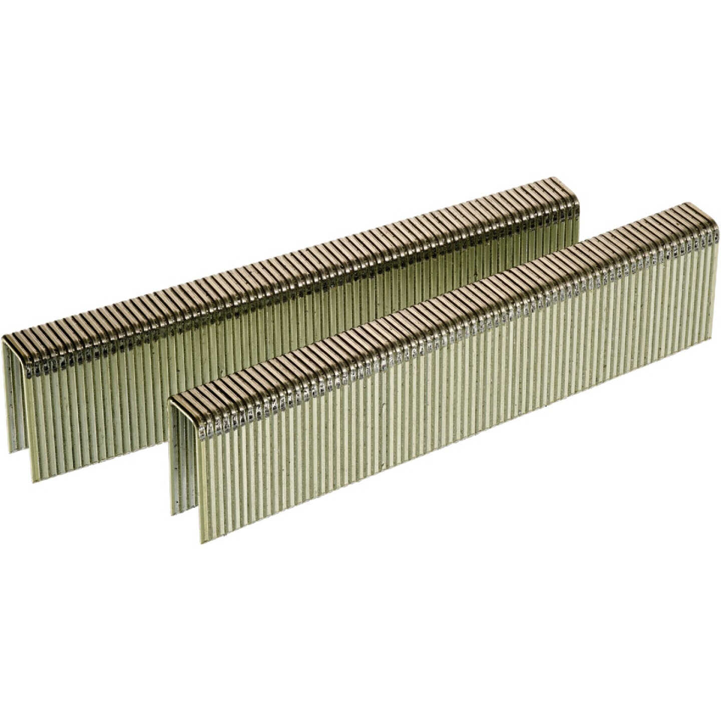 Senco 16-Gauge Galvanized Heavy Wire Decking Staples, 7/16 In. x 1 In. (5000 Ct.) Image 1