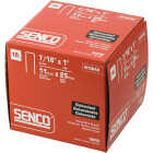 Senco 16-Gauge Galvanized Heavy Wire Decking Staples, 7/16 In. x 1 In. (5000 Ct.) Image 2