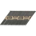 Grip-Rite 30 Degree Paper Tape Bright Clipped Head Framing Stick Nail, 2 In. x .113 In. (2500 Ct.) Image 1