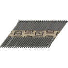 2-3/8" SS CLIP HEAD NAIL Image 2