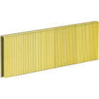 Pro-Fit 1/4 In. x 1-1/4 In. 18 Gauge Electro Galvanized L-Style Narrow Crown Staple (4000 Ct.) Image 1