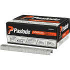Paslode 1/2 In. x 5/16 In. 20-Gauge Galvanized Hammer Tacker Staples (5000-Pack) Image 1