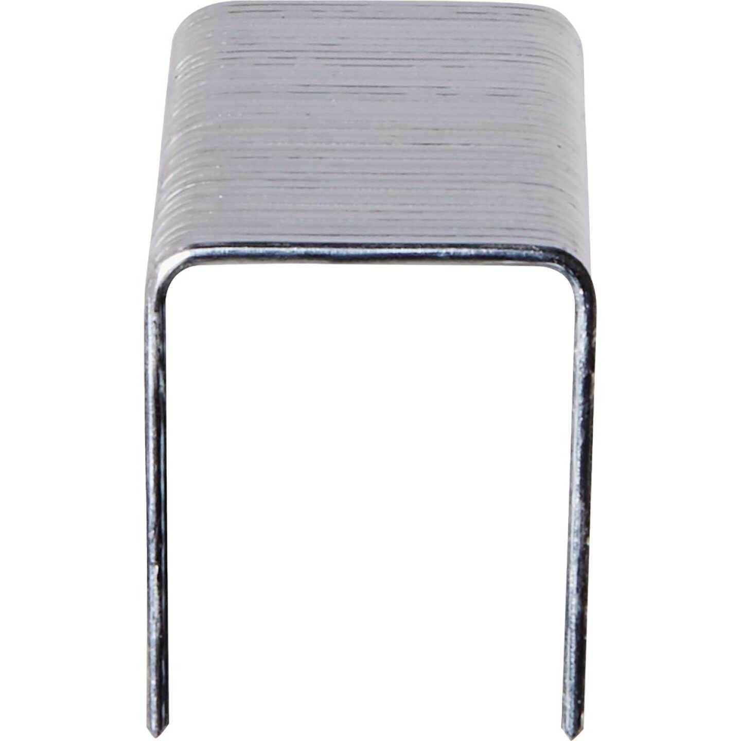 Spec Ops Heavy Duty Staple, 1/2 In. (5000-Pack) Image 3