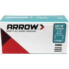 Arrow HT19 Hammer Tacker Staple, 1/4 In. (5000-Pack) Image 1