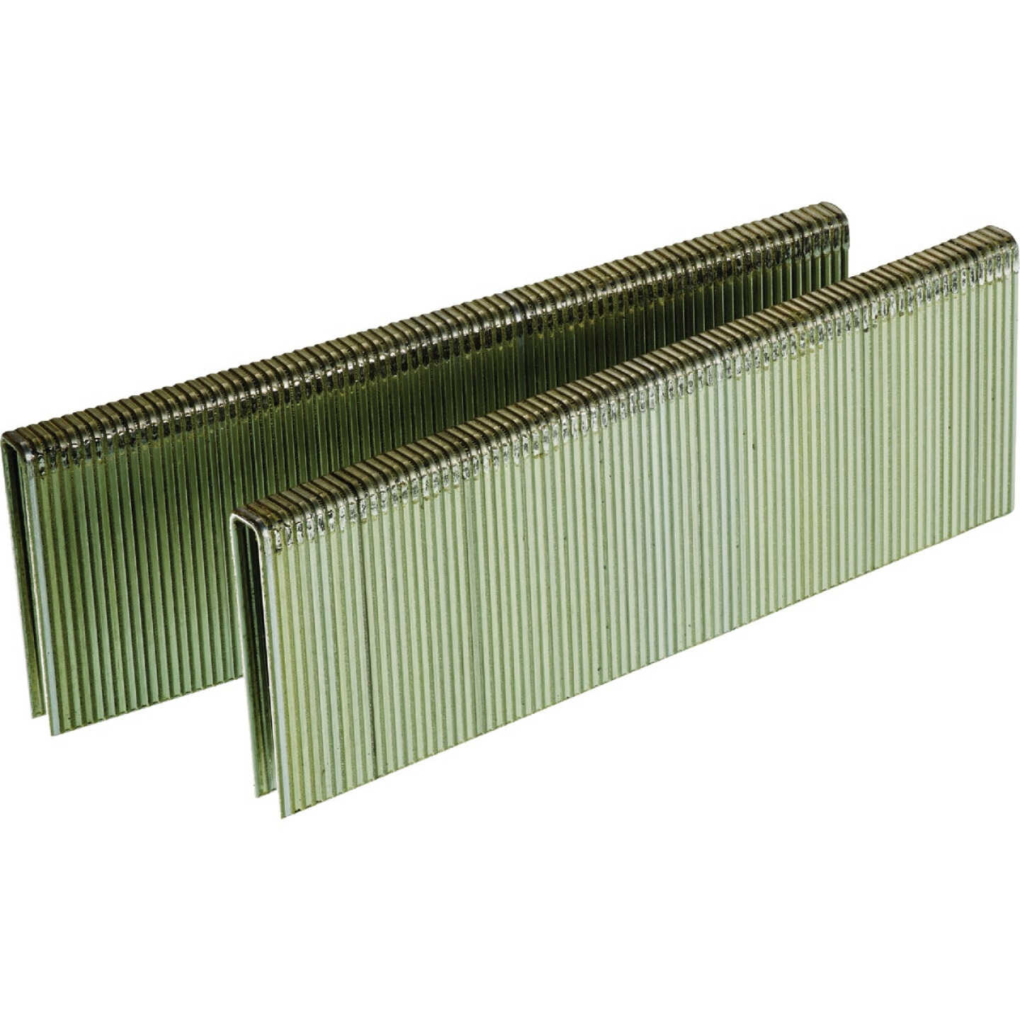 Senco AccuSet 1/4 In. x 1-1/4 In. 18-Gauge Galvanized Medium Wire Finish Staple (1000 Ct.) Image 1