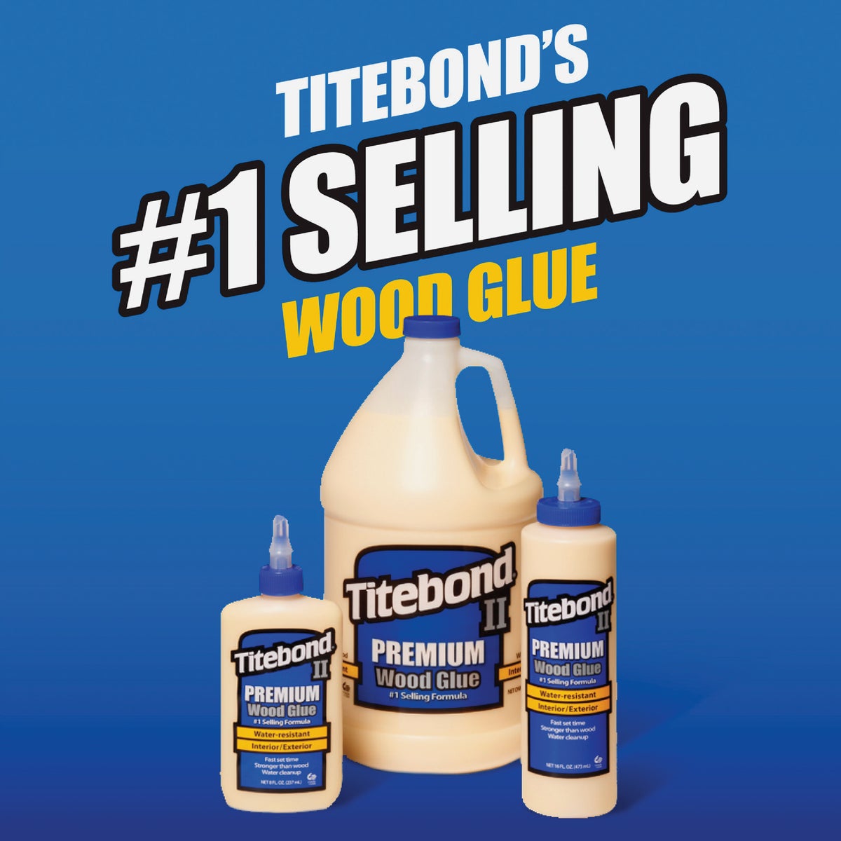 Titebond II 4 Oz. Premium Wood Glue Image 2