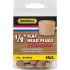 General Tools 1/2 In. Hardwood Flat Head Plug (45-Count) Image 2