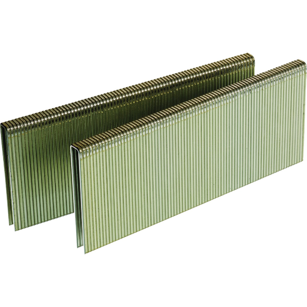 Senco AccuSet 1/4 In. x 1-1/2 In. 18-Gauge Galvanized Medium Wire Finish Staple (1000 Ct.) Image 1