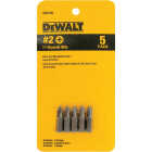 DEWALT Drywall Screwdriver Bit Set (5-Piece) Image 1