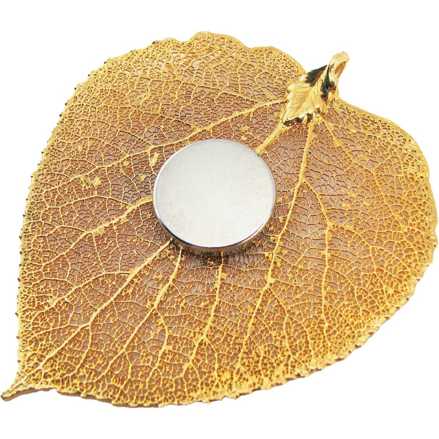 Master Magnetics 0.709 In. Neodymium Disc Magnet (3-Pack) Image 4