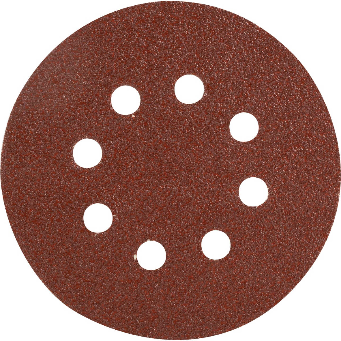Do it Best 5 In. 60-Grit 8-Hole Pattern Vented Sanding Disc with Hook & Loop Backing (50-Pack) Image 1