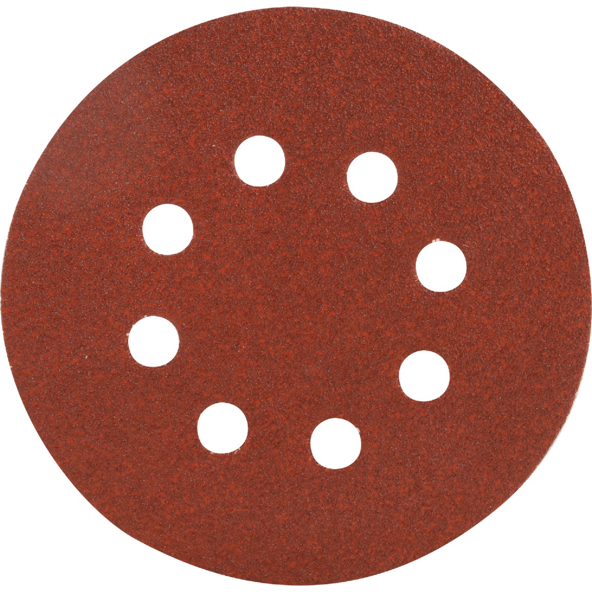Do it Best 5 In. 80-Grit 8-Hole Pattern Vented Sanding Disc with Hook & Loop Backing (50-Pack) Image 1
