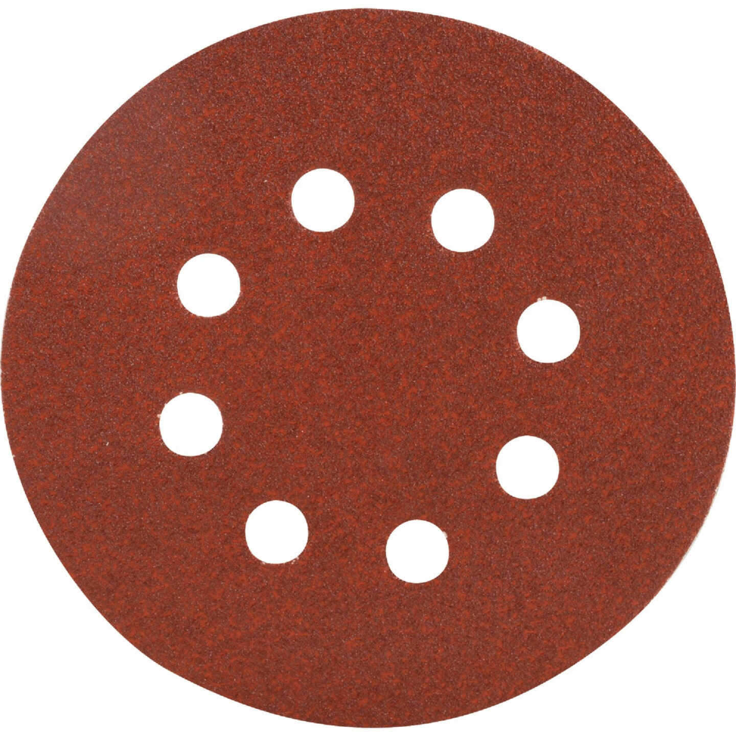 Do it Best 5 In. 80-Grit 8-Hole Pattern Vented Sanding Disc with Hook & Loop Backing (50-Pack) Image 1