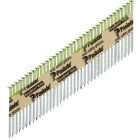 Paslode 2-3/8 In. x 0.113 In. 30 Degree Paper Tape Hot Dipped Galvanized Ring Shank RounDrive Framing Nails (2000 Ct.) Image 1