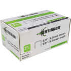 Stinger 3/8 In. A-11 Galvanized Hammer Tacker Staple (5000 Ct.) Image 1