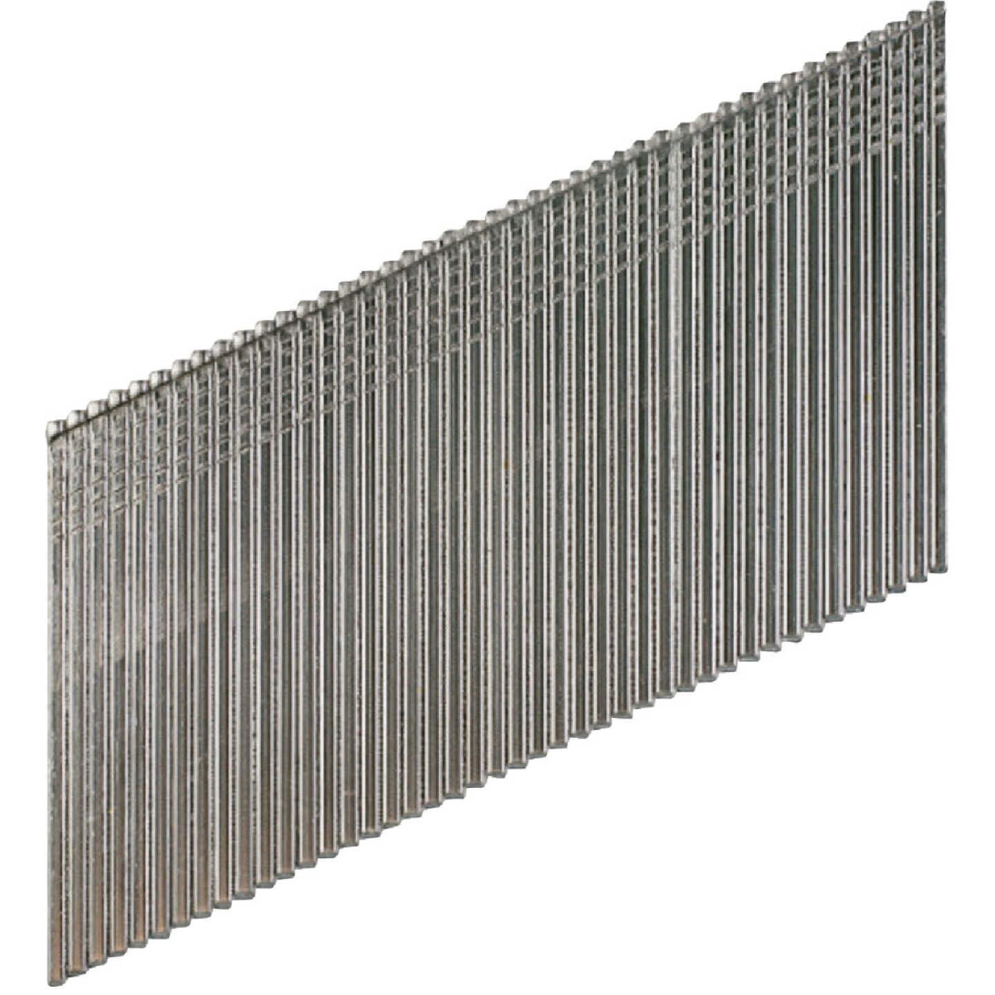 25 Angle, Adhesive Collation, FN-Style, 15-Gauge Finishing Nail 2-1/2 in. Type 316 (500-Qty) Image 1