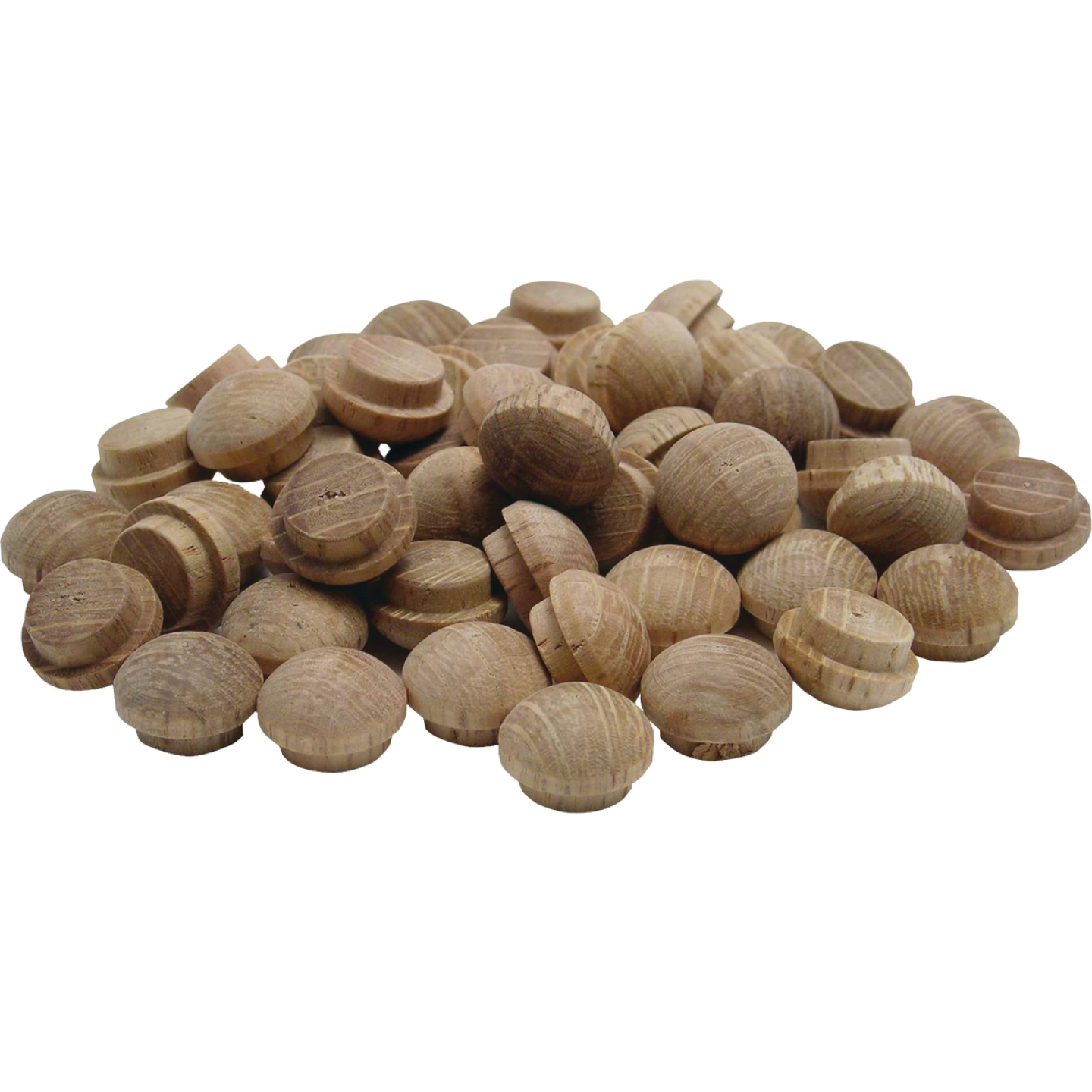 General Tools 3/8 In. Oak Round Head Button Plug (50-Count) Image 1