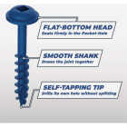 Kreg Blue-Kote #8 x 1-1/2 In. Square Coarse Thread Maxi-Loc Head Pocket-Hole Screw (100 Ct.) Image 3