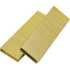 Pro-Fit 1/2 In. x 1-1/2 In. 16 Gauge Electro Galvanized GS-Style Medium Crown Staple (10,000 Ct.) Image 1