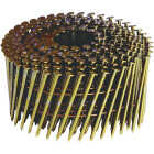 3-1/4"X.120 FRAMING NAIL Image 1