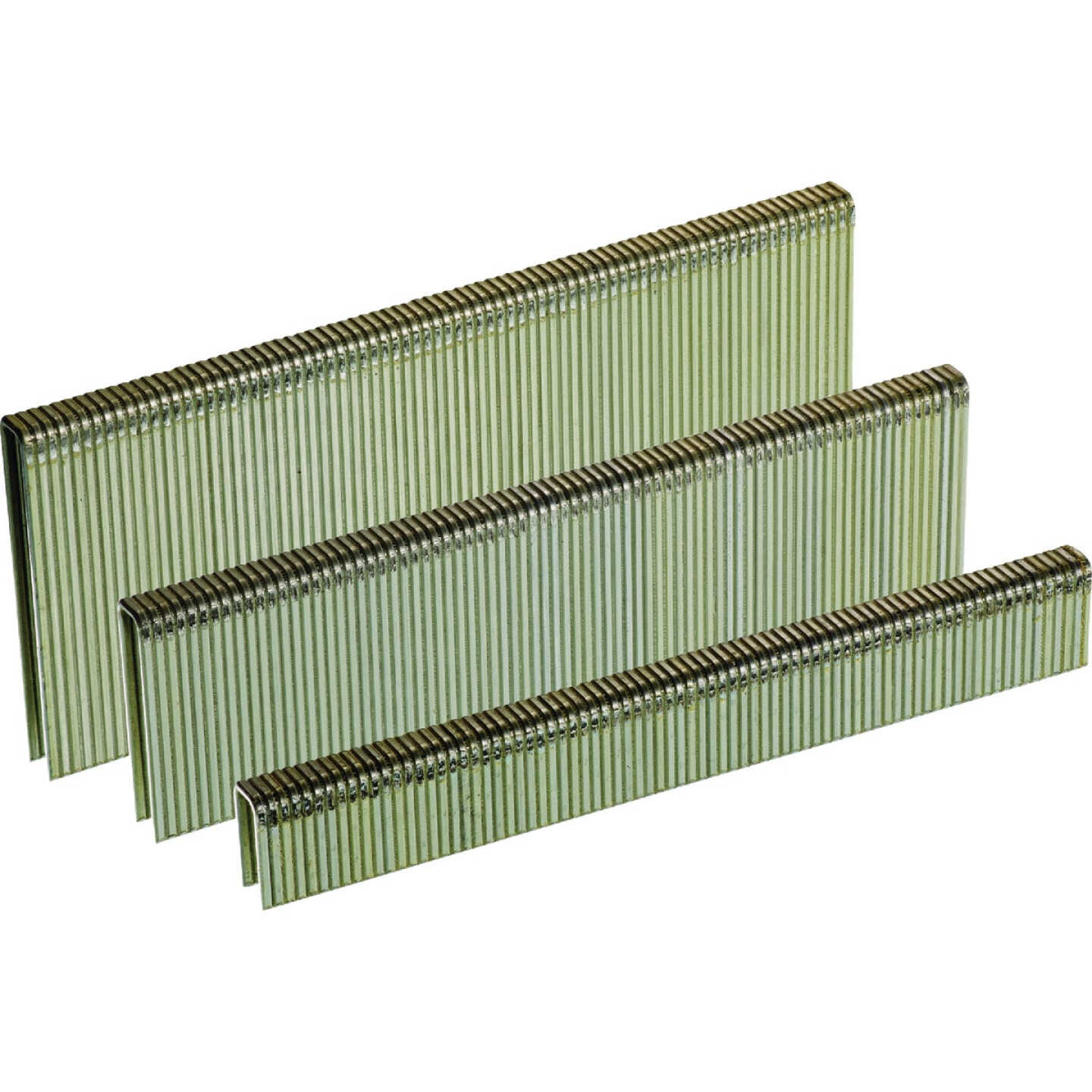 Senco AccuSet 1/4 In. x 1/2 In. to 1 In. 18-Gauge Galvanized Medium Wire Finish Staple Variety Pack (1000 Ct.) Image 1