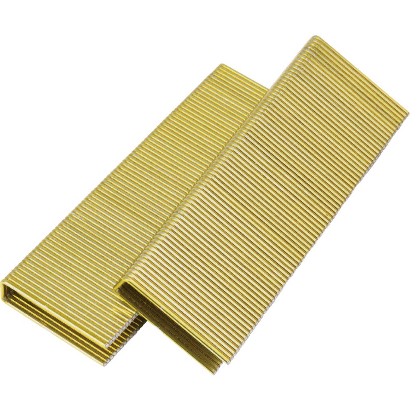 Pro-Fit 7/16 In. x 1-1/2 In. 16 Gauge Electro Galvanized N-Style Standard Crown Staple (10,000 Ct.) Image 1