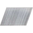 Pro-Fit 2-1/2 In. 16 Gauge Stainless Steel 20 Degree Anglred Finish Nails (500 Ct.) Image 1