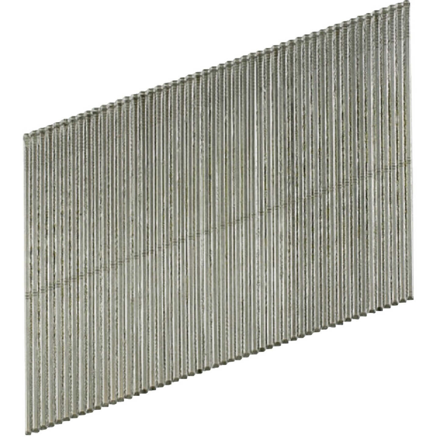 20 Angle, Adhesive Collation, T-Style Head, 16-Gauge Finishing Nail 1-1/2 in. Type 316 (500-Qty) Image 1