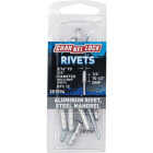 Channellock 3/16 In. to 1/4 In. Dia. x 0.251 In. to 0.500 In. Grip Aluminum Multigrip POP Rivet (12-Pack) Image 1