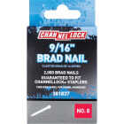 Channellock 18-Gauge Steel Brad Nail, 9/16 In. (2000-Pack) Image 1