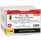 Pro-Fit 3 In. x 0.120 In. 28 Degree Wire Strip Ring Shank Round Head Galvanized Hot Dipped Galvanized Framing Stick Nails (2000 Ct.) Image 2