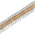 Paslode 1-1/2 In. x .0131 In. 30 Degree Mechanical Galvanized Heat Treated Smooth Shank Positive Placement Metal Connector Nails (4000 Ct.) Image 1