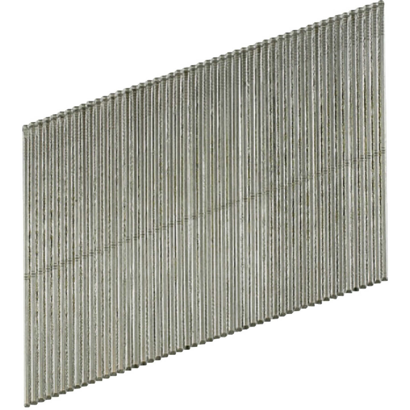 20 Angle, Adhesive Collation, T-Style Head, 16-Gauge Finishing Nail 2-1/2 in. Type 316 (500-Qty) Image 1
