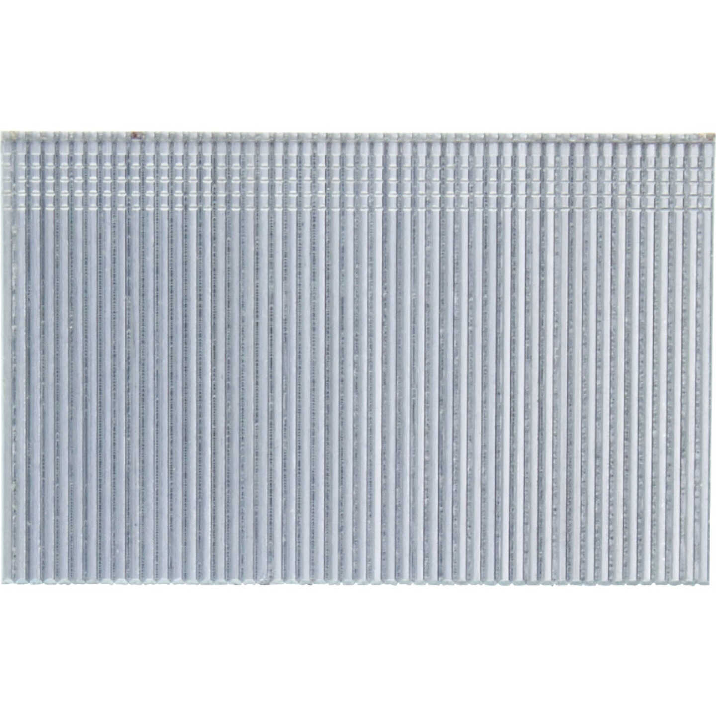 Senco 2 In. 16-Gauge Galvanized Straight Finish Nail (1000 Ct.) Image 3