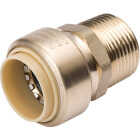 ProLine 1 In. PF x 1 In. MIP Brass Push Fit Male Adapter Image 1