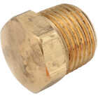 Anderson Metals 3/8 In. Low Lead Hex Head Brass Hex Plug Image 1
