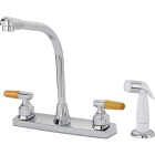 CHR KTCHN FAUCET W/SPRY Image 1