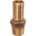 Merrill 1-1/4 In. MIP x 1-1/4 In. Insert Brass Hose Barb Image 1