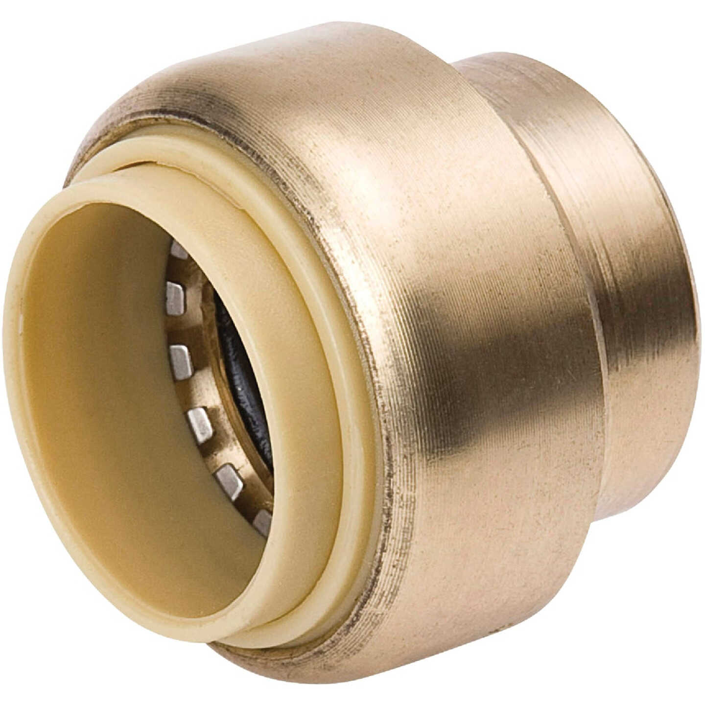 ProLine 1/2 In. PF Brass Push Fit Cap Image 1