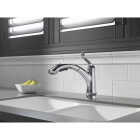 CHROME PULLOUT FAUCET Image 1