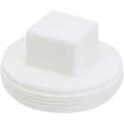 IPEX Sewer and Drain 3 In. PVC Sewer and Drain Plug Image 2