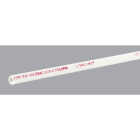 Charlotte Pipe 1/2 In. x 20 Ft. Cold Water Schedule 40 PVC Pressure Pipe, Belled End Image 1